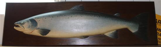 Large fish on board